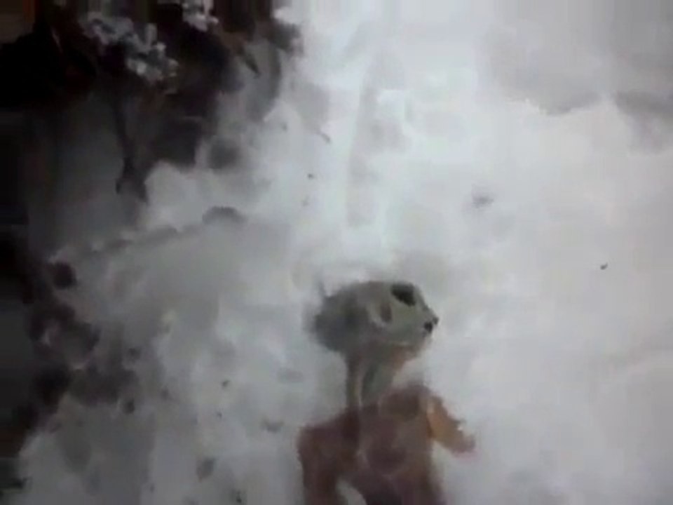 Extraterrestre dans la glace sibérienne