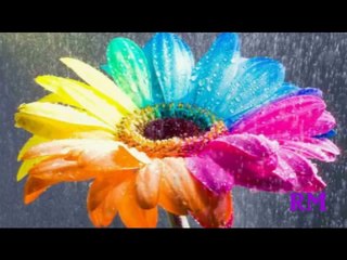 Things we must do everyday - Abraham