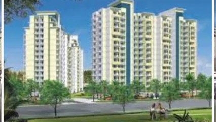 Saya Gold Avenue | 0120 3803029