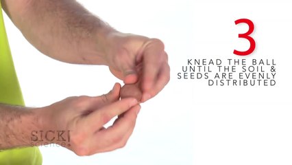 Seed Balls - Sick Science! #147