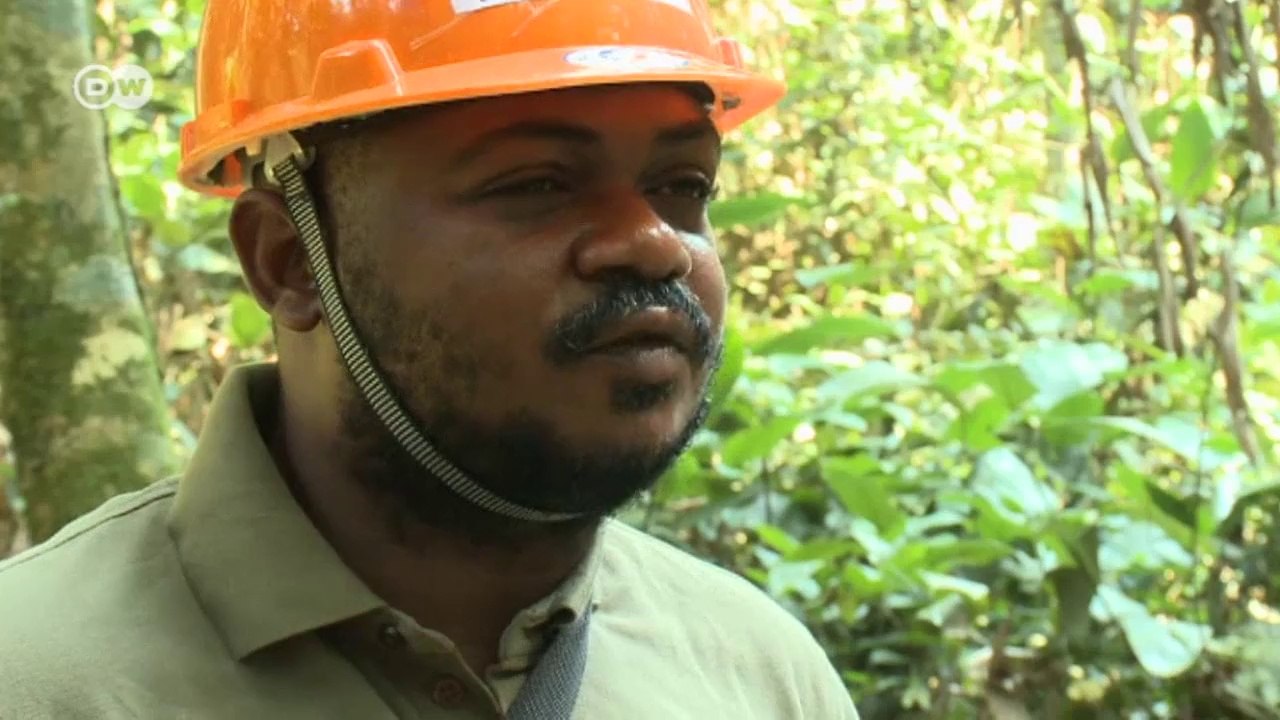 Monkey Whisperer - with bonobos in the Congo | Global 3000