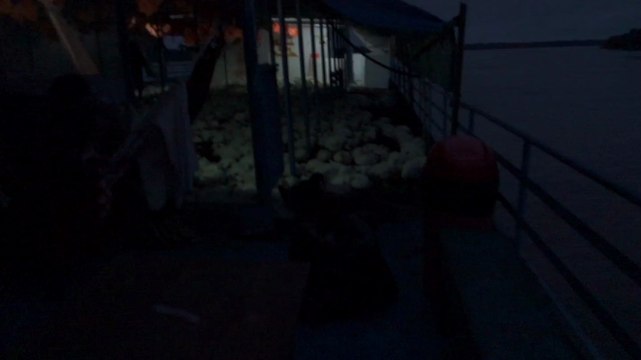 Perou: Bateau de la mort et Amazonie!