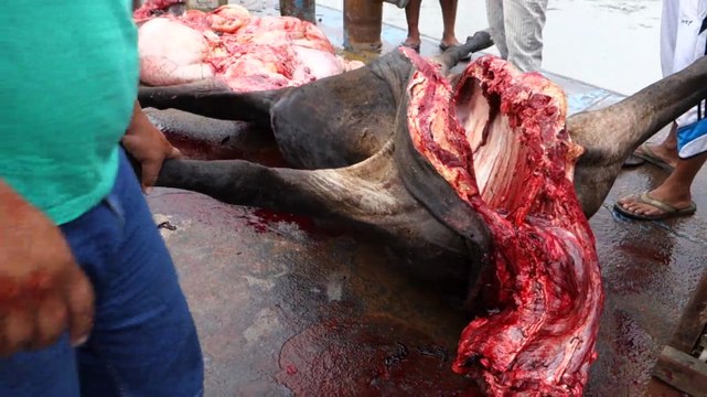 Perou:Le bateau de la mort en route vers l'Amazonie