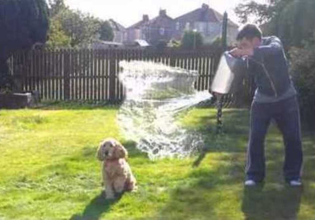 Ice Bucket Challenge Backfires