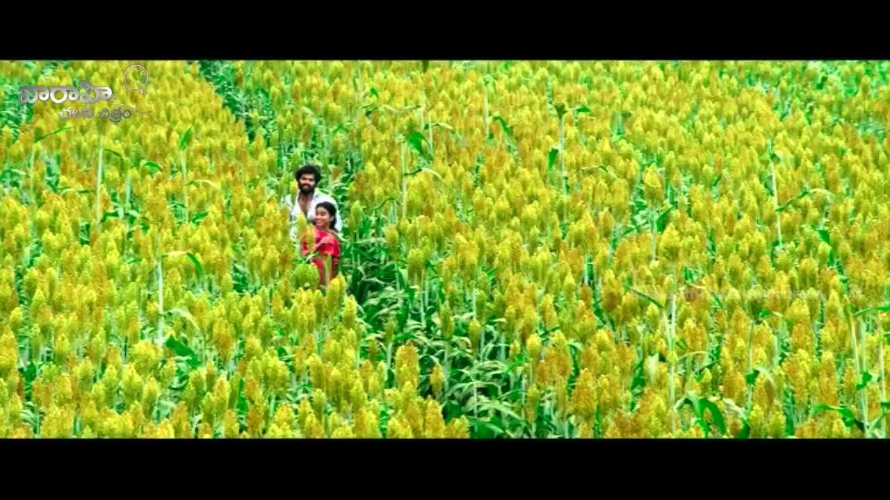 Tungabadra First Look Teaser