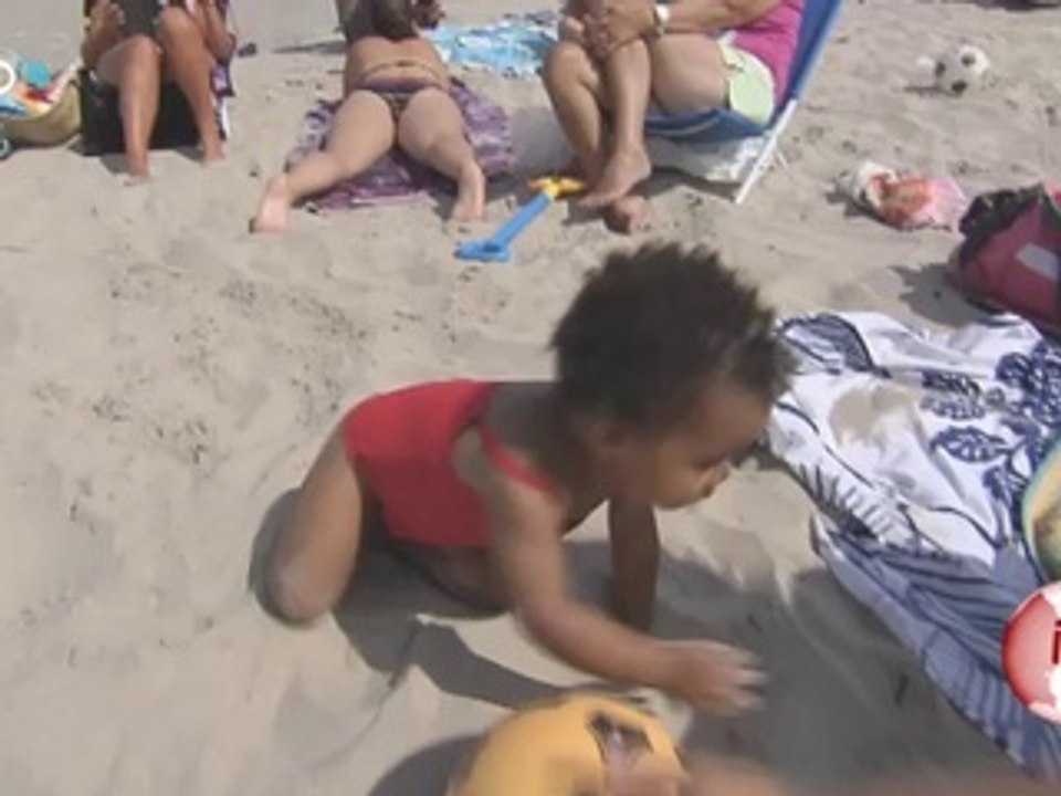 Littoral : Attention, plages interdites aux chiens