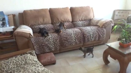 Dernier jour de jean...      Последний день JEAN