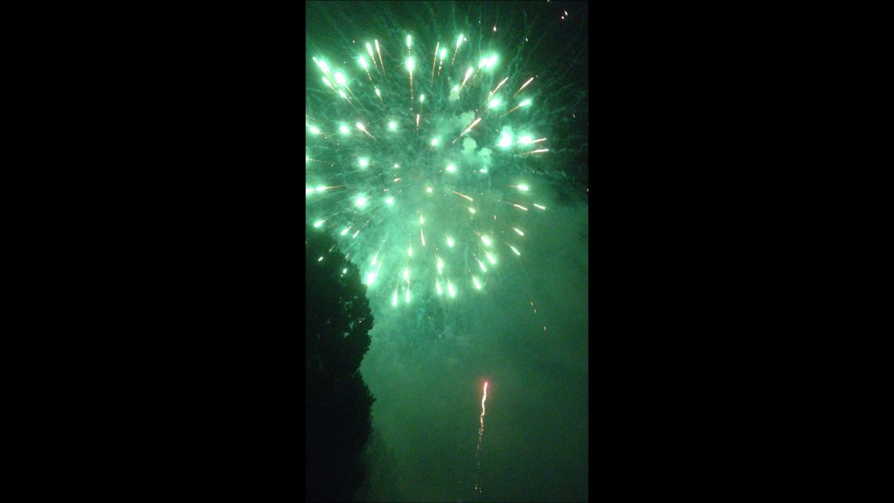 Feu d'artifices Vesoul 15 août 2014