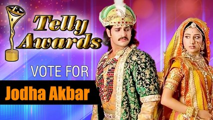 Vote Jodha Akbar | Best Serial | Indian Telly Awards 2014