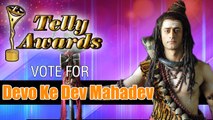 Devon Ke Dev Mahadev | Best Serial | Indian Telly Awards 2014