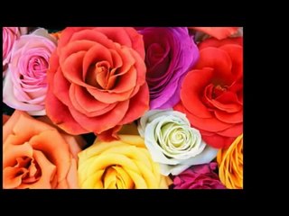 Meri Zindagi Ke Malik-Imran Mobile