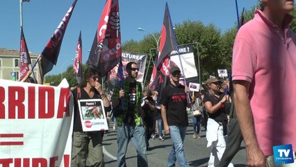 Manifestation des anticorridas à Carcassonne :