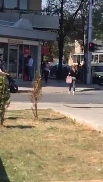 ПИК ТВ! Мишки нападнаха София - част 2