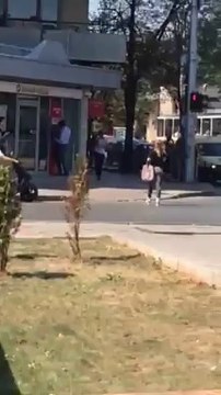 ПИК ТВ! Мишки нападнаха София - част 3