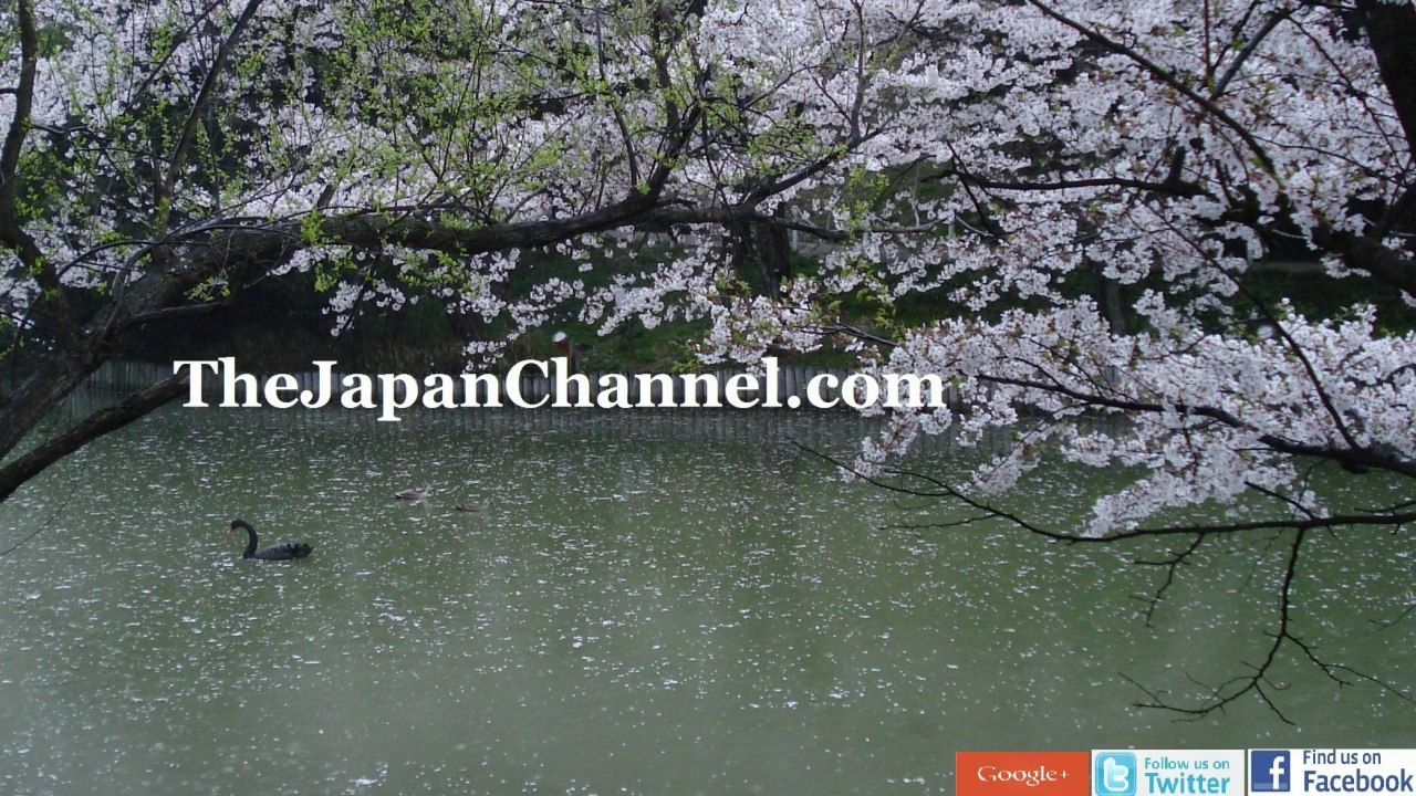 Random Japanese Aircraft & Paranoia!