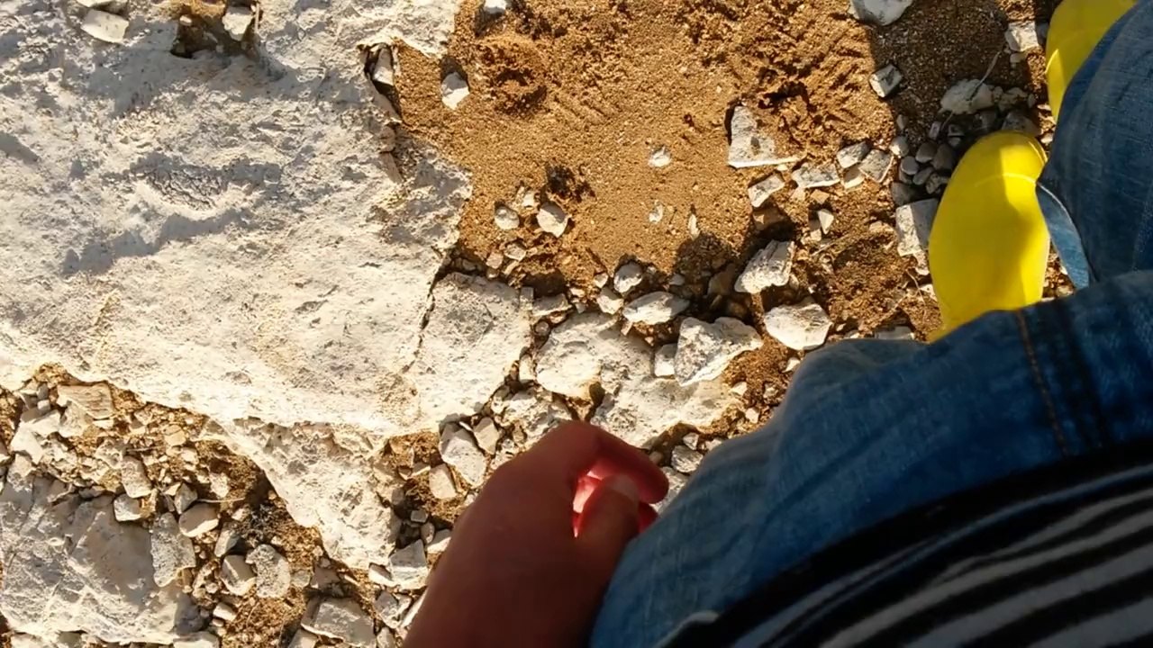 BalıkAvı-ANKARA - Kaçan Balık