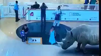 Esse show em 7D é em um shopping de Dubai!