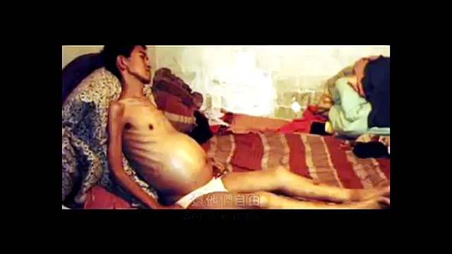 آزادشان کنید. فالون دافا Set them free. falun dafa