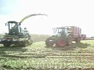 Ensilage 2006, Chantier n°9