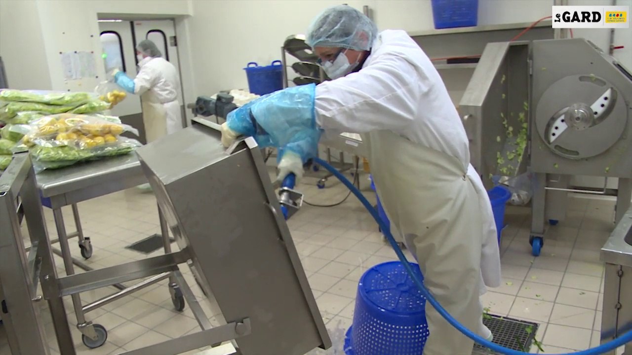 A la découverte de l'Unité de Conditionnement de Légumes