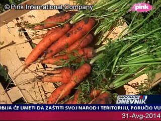 Nacionalni dnevnik u 18.30 (nedelja, 31-Avg-2014)