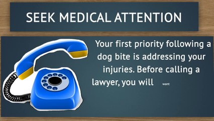 Dog Bite Attack Help Instructions Santa Barbara County
