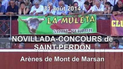 Novillada-Concours de Saint Perdon
