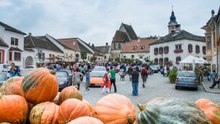ISCC Sportwagentreffen in Rust 2014