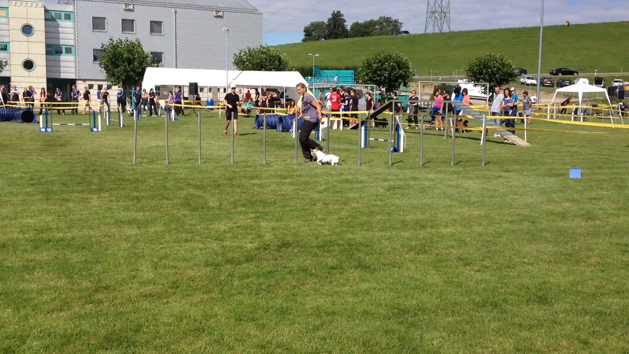 Jumping Stella Forel 2014