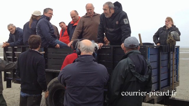 Polémique chez les pêcheurs de coques du Crotoy