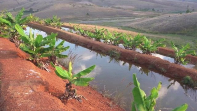 Vente Terrain ANTANANARIVO (TANANARIVE) - Madagascar - Affaire rentable à saisir: terrain de 25 Ha à vendre à Ankazobe