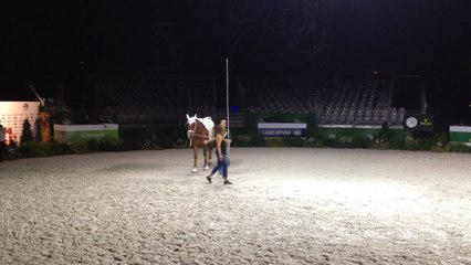 Les épreuves de voltige débutent mardi