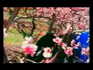 Zara Zara Bahekta Hai 🌸