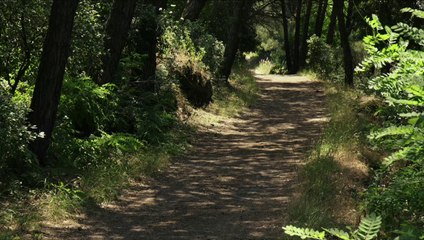 "Il Giovane Favoloso", de Mario Martone (extrait)