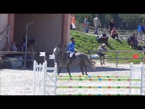 Tygann de vuzit, sologn'pony 2014, 7ans future élite (22)