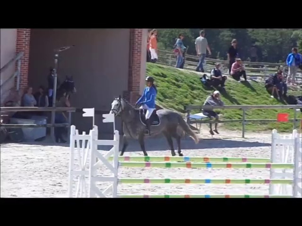Tygann de vuzit, sologn'pony 2014, 7ans future élite (22)