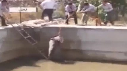 Kurtarma rezaleti: Ayı ölüm kalım savaşı verdi