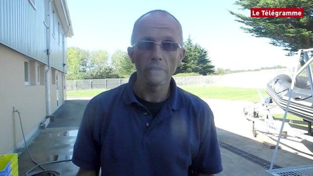 Carnac (56). Le phoque polaire échoué est décédé