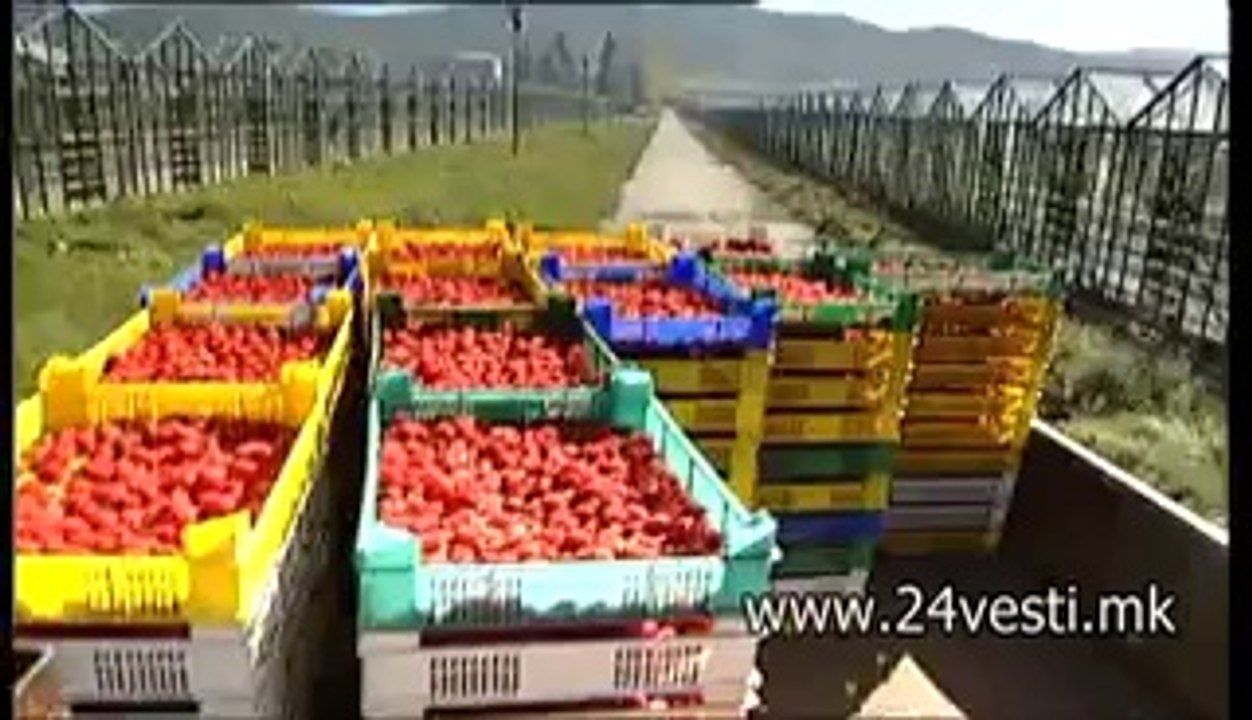 IZVOZ ZA RUSIJA