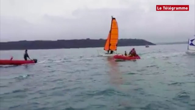 Baie de Saint-Brieuc. Des dauphins s'amusent avec les plaisanciers
