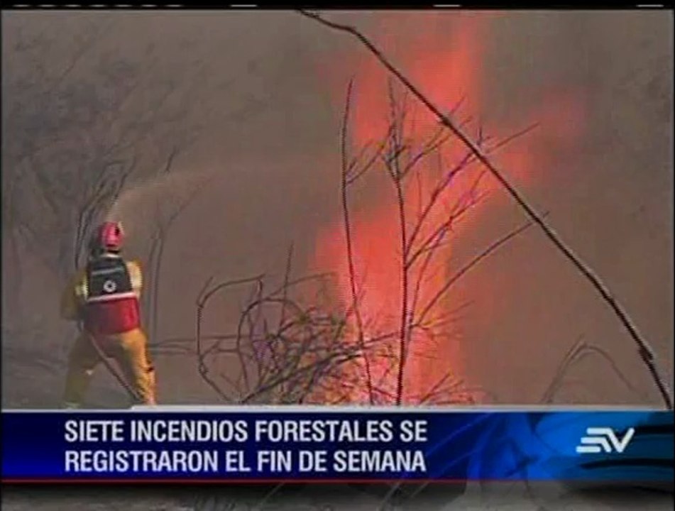 Incendios forestales, provocados por actividades humanas, no cesan