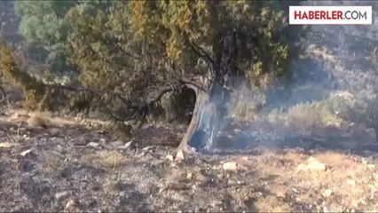 Afşin'de ormanlık alanda yangın