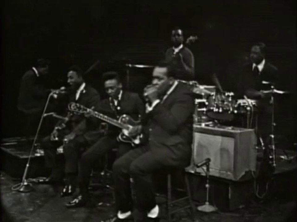 Muddy Waters - I Got My Mojo Working