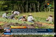 Puerto Rican youth push agro-ecology to achieve food sovereignity