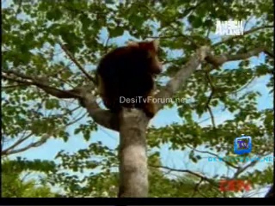 Fooled By Nature 1st September 2014 Video Watch Online Pt4