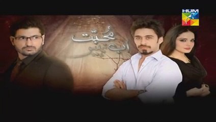 Mohabbat Ab Nahi Hogi Episode 8 Full Drama On Hum TV Drama "1st  September 2014"