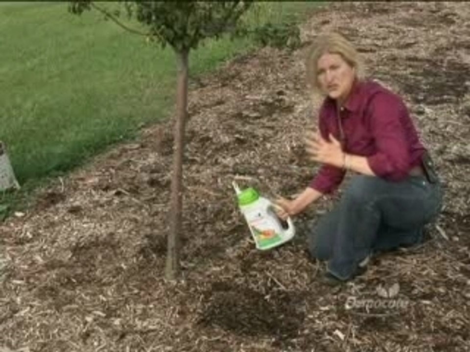 Osmocote Gardening Tip 20