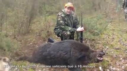 Sanglier 240 kg Biélorussie