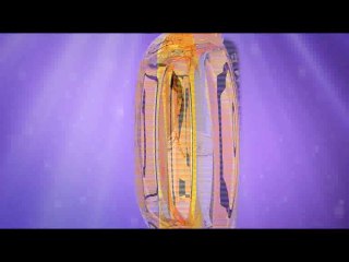 Hum Sab Umeed Say Hain-01 Sep 2014 (Wazir e Azam Practise)