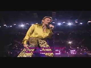 Johnny halliday - l'envie (karaoke)